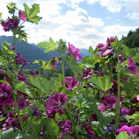 Ferienwohnungen Brunner Fischen im Allgaeu ภายนอก รูปภาพ